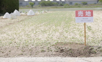 兄弟間で土地を相続し、公平に分けた事例