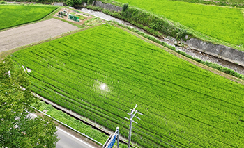 相続した農地の売却に関する悩みを解決した事例