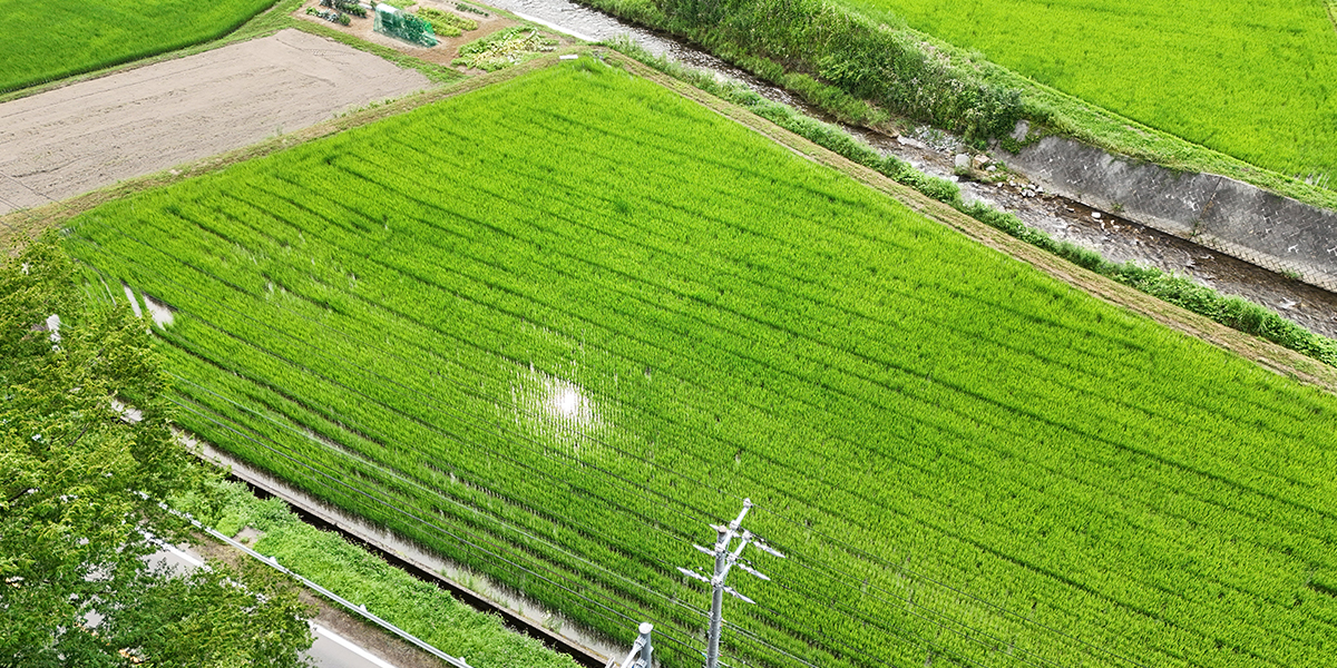 1.山口市にお住まいのT様が、「相続した田を農地のまま近隣の農家へ売却できた事例」